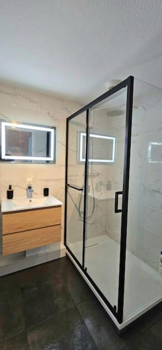 T3 Duplex Thonon Centre - Parking - Gare - Thermes 외부 사진