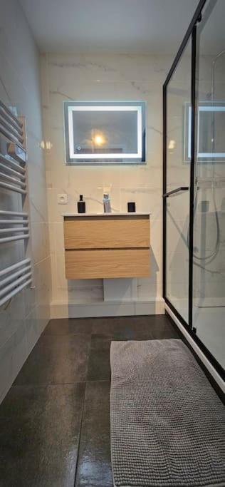 T3 Duplex Thonon Centre - Parking - Gare - Thermes 외부 사진